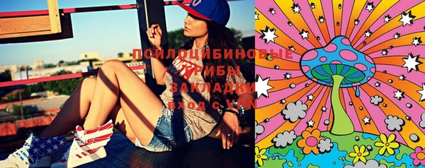 spice Алзамай