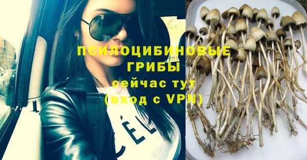 мяу мяу мука Алексеевка