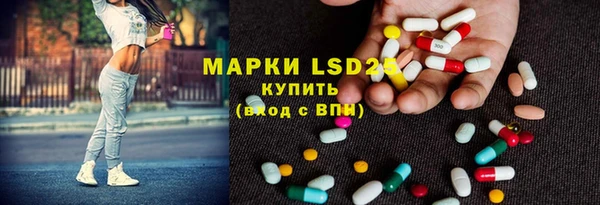 spice Алзамай